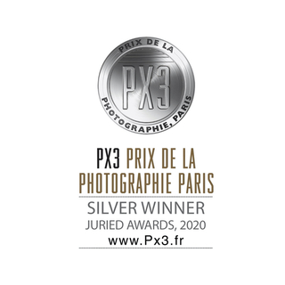 Px3 2020 Silver Winner